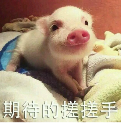 澳洲悉尼新樓盤,澳洲悉尼公寓別墅多少錢,澳洲悉尼公寓別墅報(bào)價(jià),